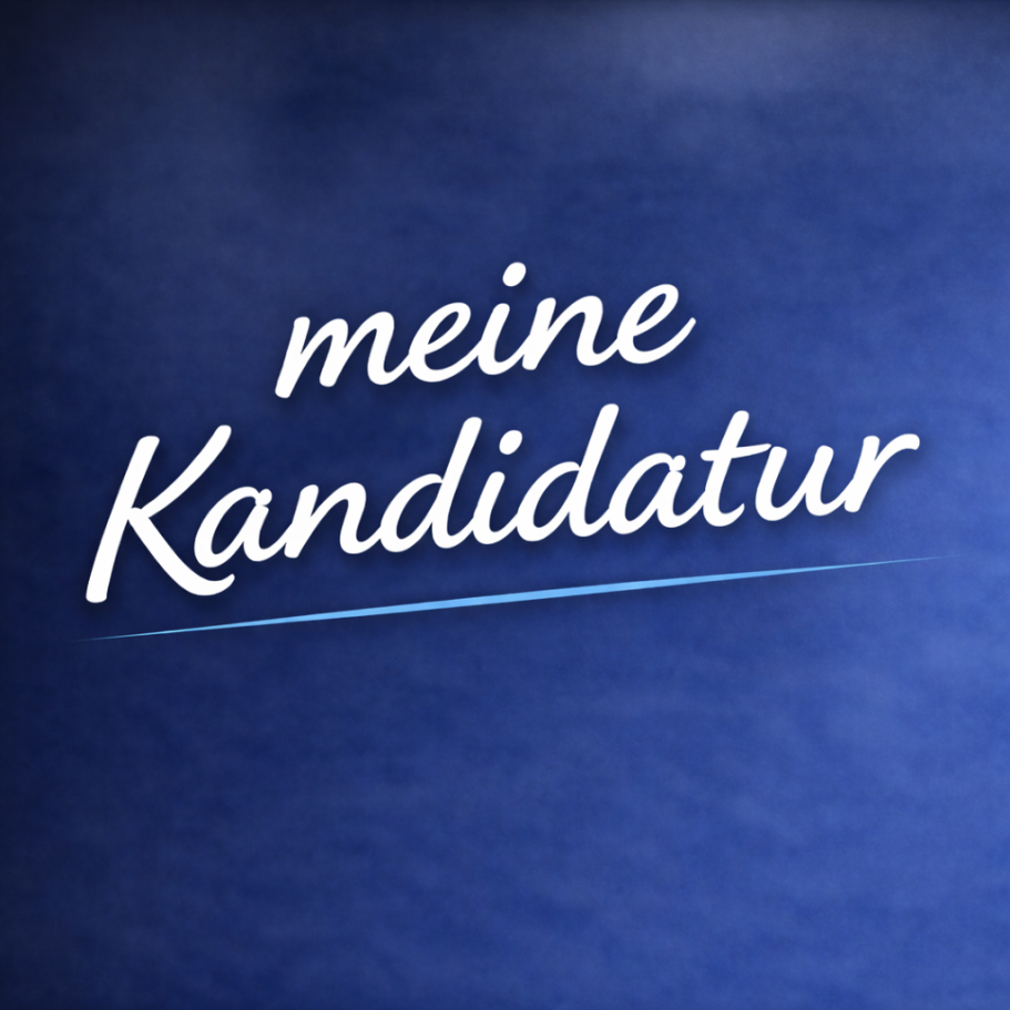 Link zur Seite "meine Kandidatur"